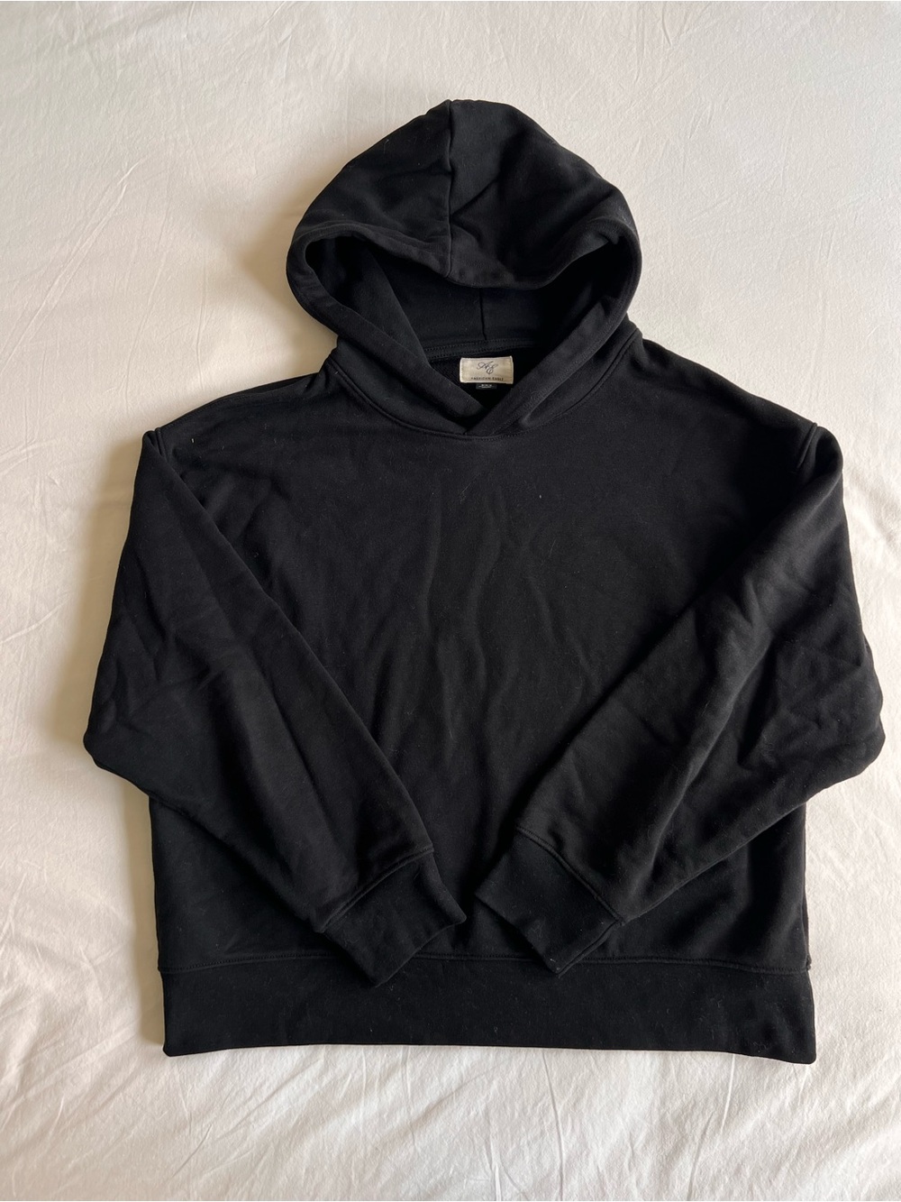 American Eagle Luxe Hoodie